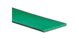 Polyrib_Belt_Ropa_226006500