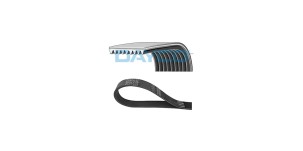Polyrib_Belt_Ropa_226006100